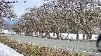 takano5-20250410171113.jpg