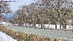 takano5-20250410173113.jpg