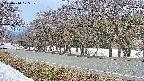 takano5-20250410175112.jpg