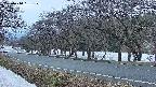 takano5-20250410181112.jpg