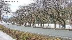 takano5-20250411115114.jpg
