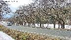 takano5-20250411122114.jpg