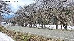 takano5-20250411132114.jpg