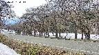 takano5-20250411134115.jpg
