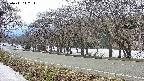 takano5-20250411142114.jpg