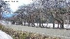 takano5-20250411144113.jpg