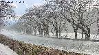 takano5-20250411164113.jpg