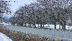 takano5-20250412050111.jpg