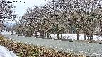 takano5-20250412052110.jpg