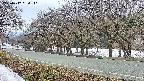 takano5-20250412054111.jpg