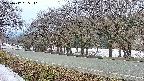 takano5-20250412055111.jpg