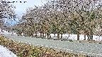 takano5-20250412063111.jpg