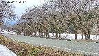 takano5-20250412064111.jpg