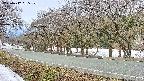takano5-20250412065110.jpg