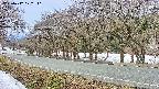 takano5-20250412072111.jpg