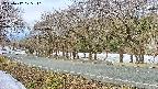 takano5-20250412075111.jpg