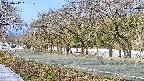 takano5-20250412081110.jpg
