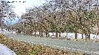 takano5-20250412082111.jpg