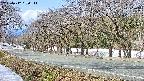 takano5-20250412090112.jpg