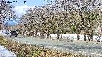 takano5-20250412091112.jpg