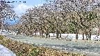 takano5-20250412092112.jpg