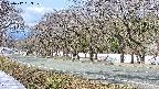 takano5-20250412093110.jpg