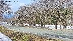 takano5-20250412095110.jpg