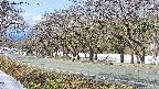 takano5-20250412101110.jpg