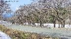 takano5-20250412102111.jpg