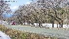 takano5-20250412103111.jpg