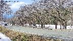 takano5-20250412104111.jpg