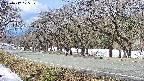 takano5-20250412105111.jpg