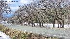 takano5-20250412110112.jpg