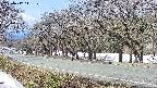 takano5-20250412111110.jpg