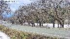takano5-20250412113110.jpg