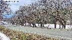 takano5-20250412120112.jpg