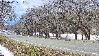 takano5-20250412121111.jpg