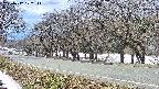 takano5-20250412122112.jpg