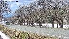takano5-20250412123113.jpg