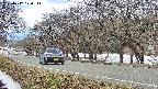 takano5-20250412124112.jpg