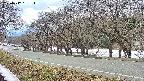 takano5-20250412131117.jpg