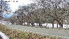 takano5-20250412133113.jpg