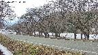 takano5-20250412134112.jpg