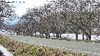 takano5-20250412135113.jpg