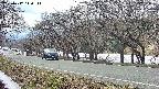 takano5-20250412140112.jpg