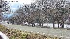 takano5-20250412142112.jpg