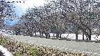 takano5-20250412143113.jpg