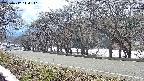 takano5-20250412144111.jpg