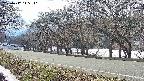 takano5-20250412145111.jpg