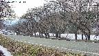 takano5-20250412150112.jpg